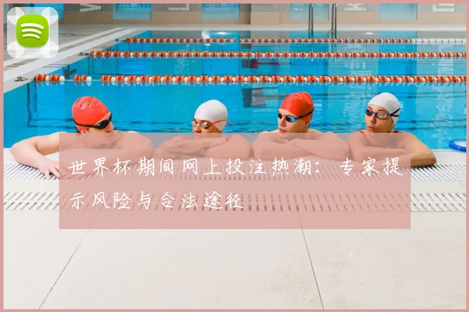 世界杯期间网上投注热潮：专家提示风险与合法途径